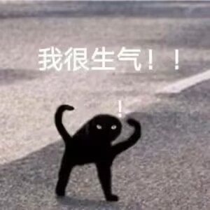 我很生气（小黑猫）.jpg