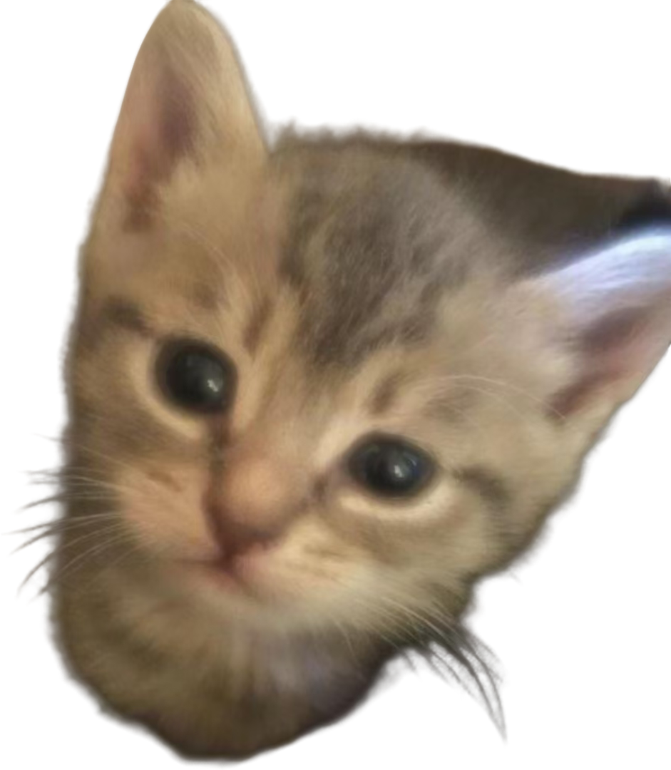 1000066640.png
