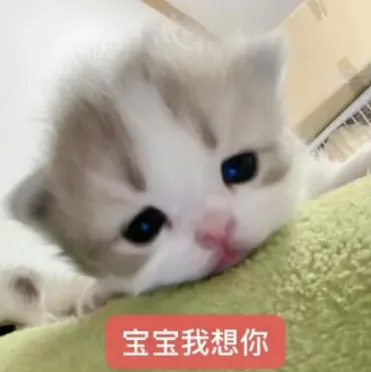 mmexport1787820499229.png
