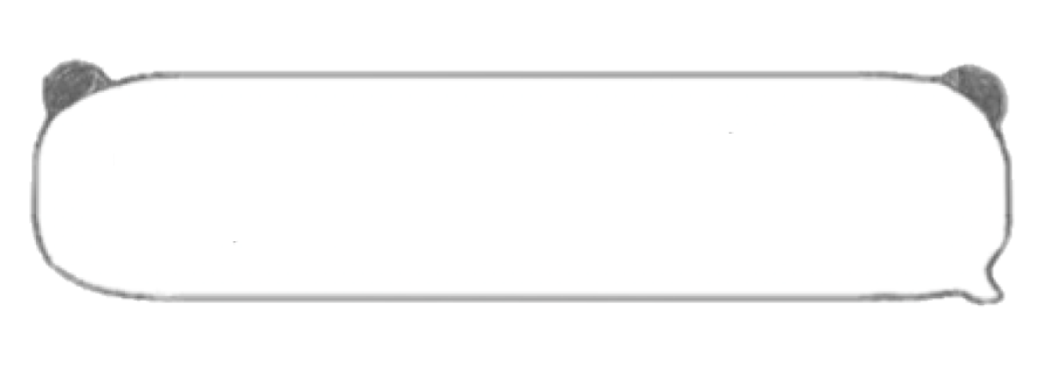 1000068848.png