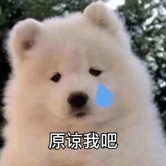 小狗流泪：原谅我吧.jpg