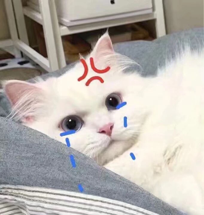 生气哭唧唧（小猫）.jpg