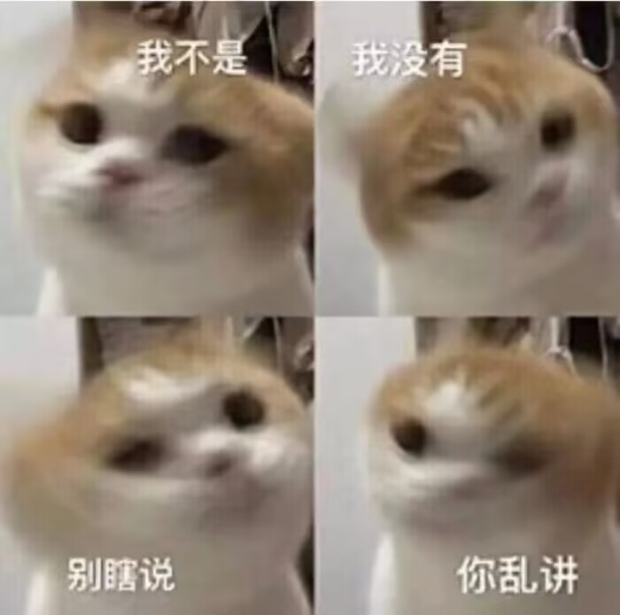 我不是我没有别瞎说你乱讲（小猫摇头四宫格图）.jpg
