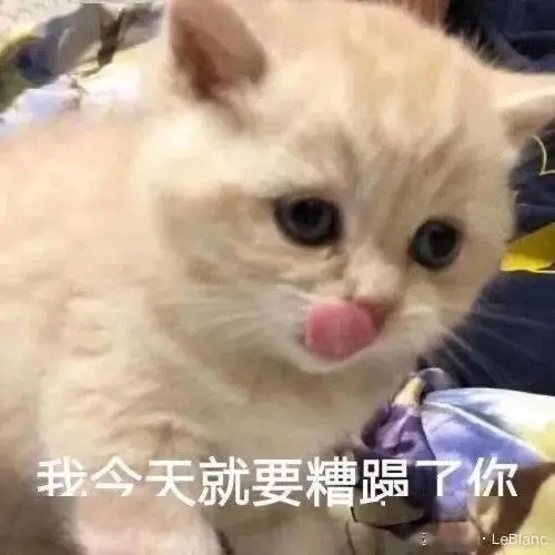 我今天就要糟蹋了你（小猫舔舌头）.jpeg