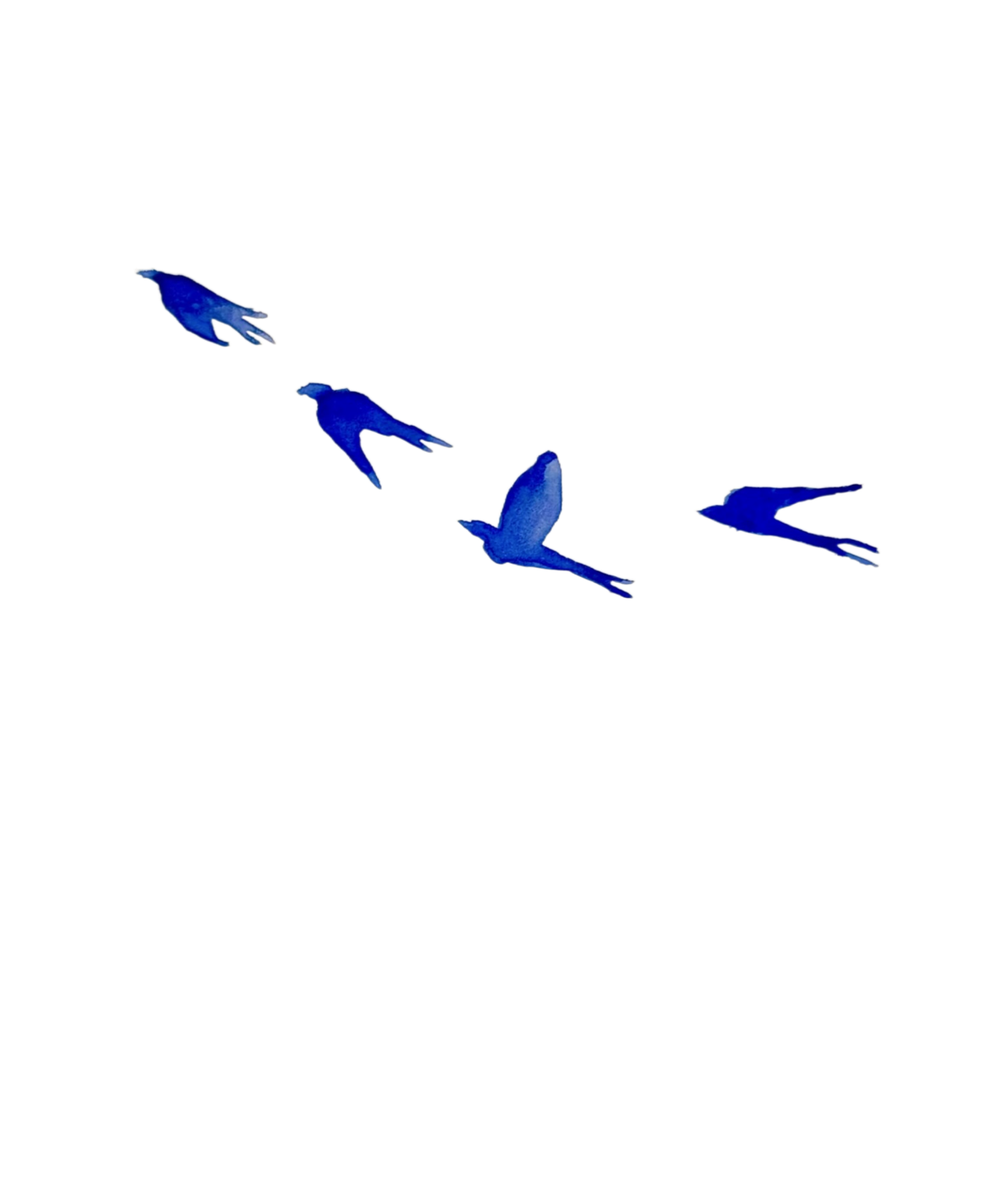 IMG_5964.png