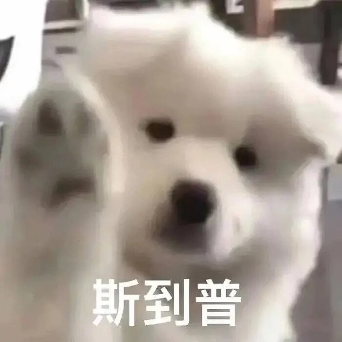 斯道普（小狗举爪，表示停下）.jpg