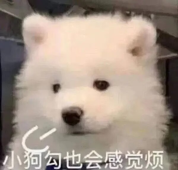 小狗勾也会感觉烦（小狗叹气）.jpg