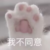 我不同意（小猫爪）.jpg