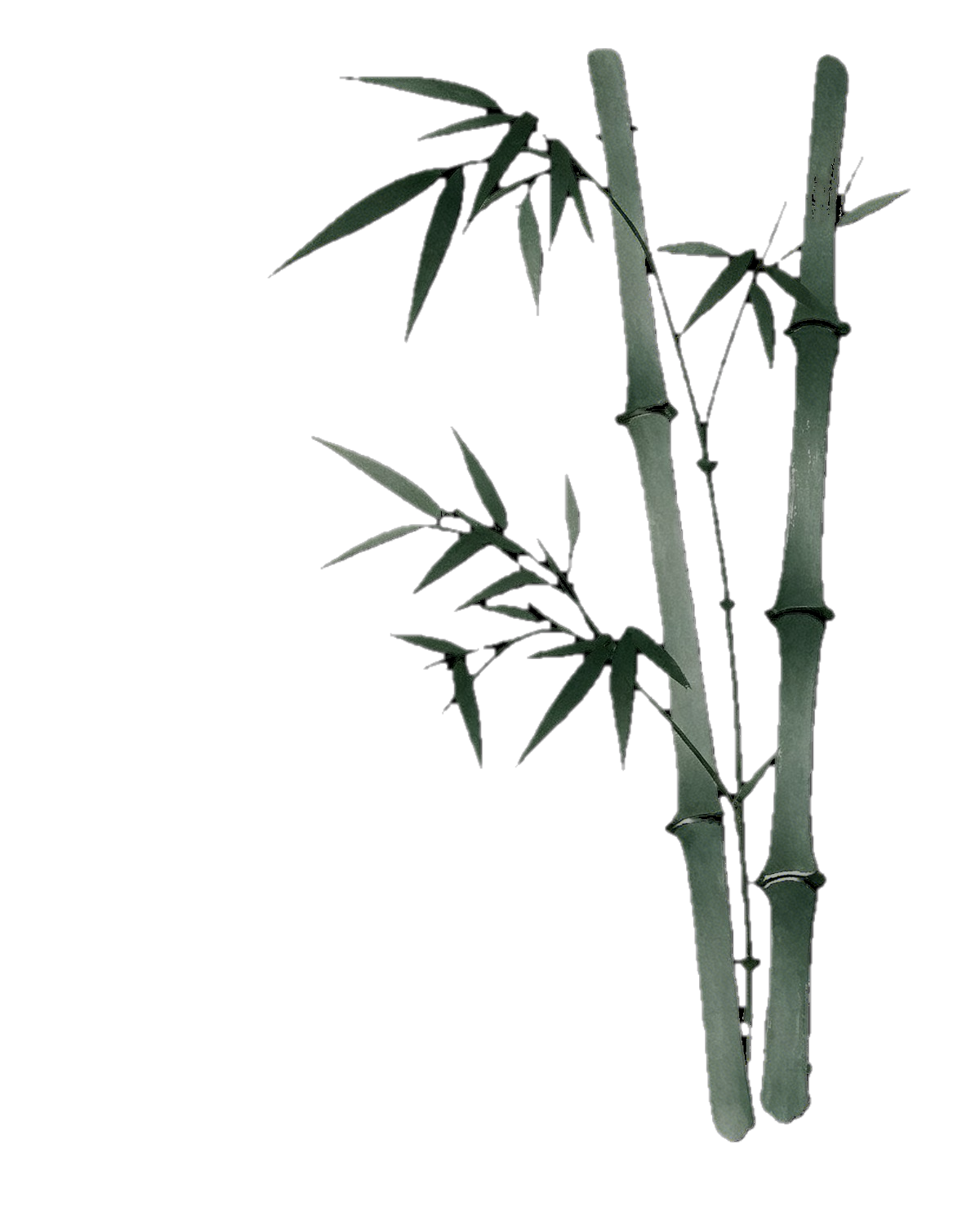 1000053453.png