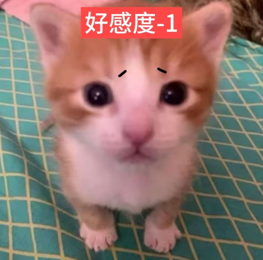 628hd5nivtdnbrdccvif38fslb.jpg