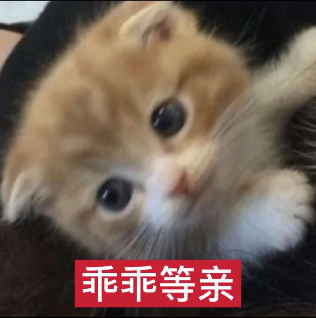 59uhv0q77cb5d225j3o7qobfis.jpg