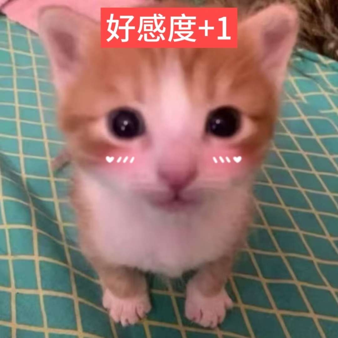 1l5hqn74ek3vpse2d267o5tjrl.jpg