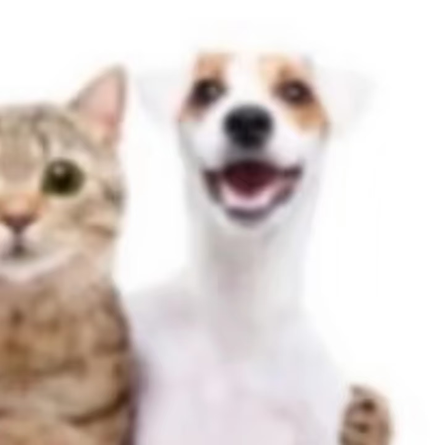 IMG_4654.png