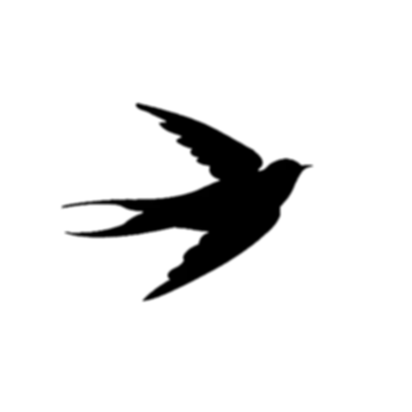 1000091641.png