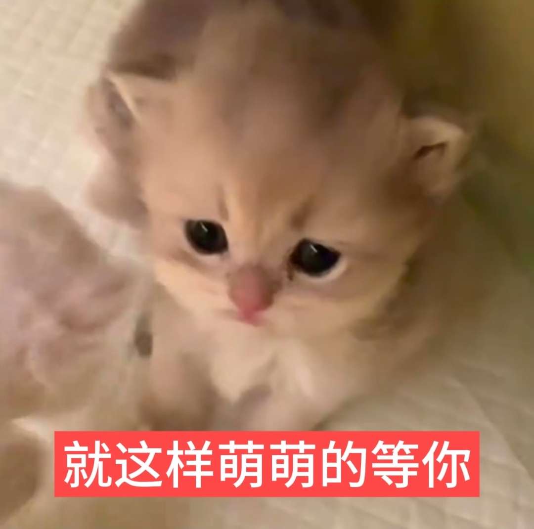 4o0gfss64gu0lgjtpa25rlbfeg.jpg