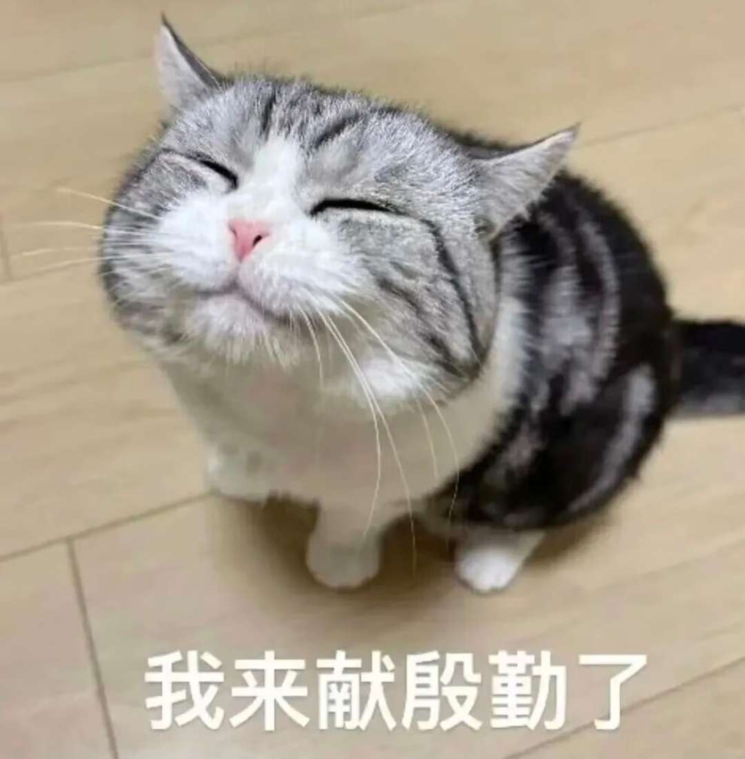 3cilocrpsug2qfofrooel331lp.jpg