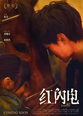 《红闪电》夸克网盘高清电影百度云网盘 阿里云网盘 夸克网盘 免费HD1080p超清资源【BD1280P高清】