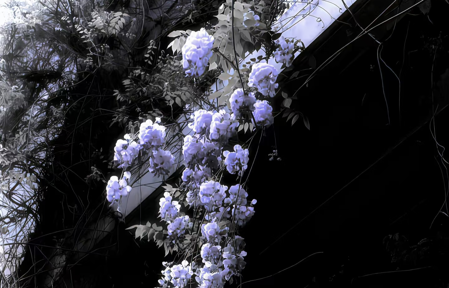 IMG_20260828_041639.png