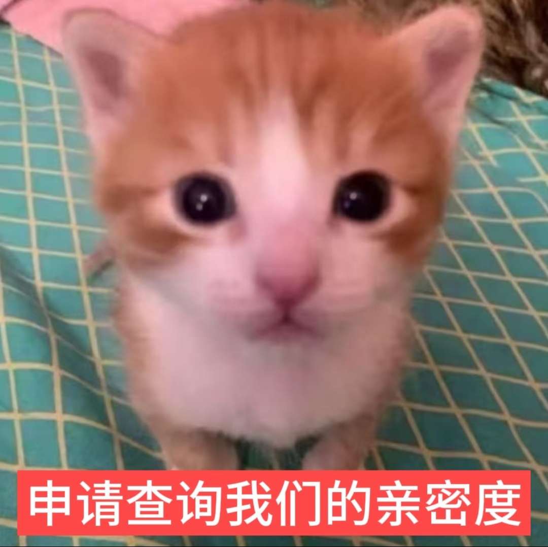 173h9esr00i6meqvlf0vr3gi73.jpg