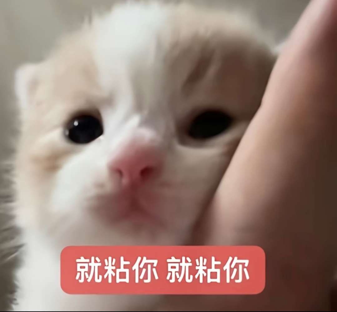 7r6temavh0jhosrfme637usicq.jpg
