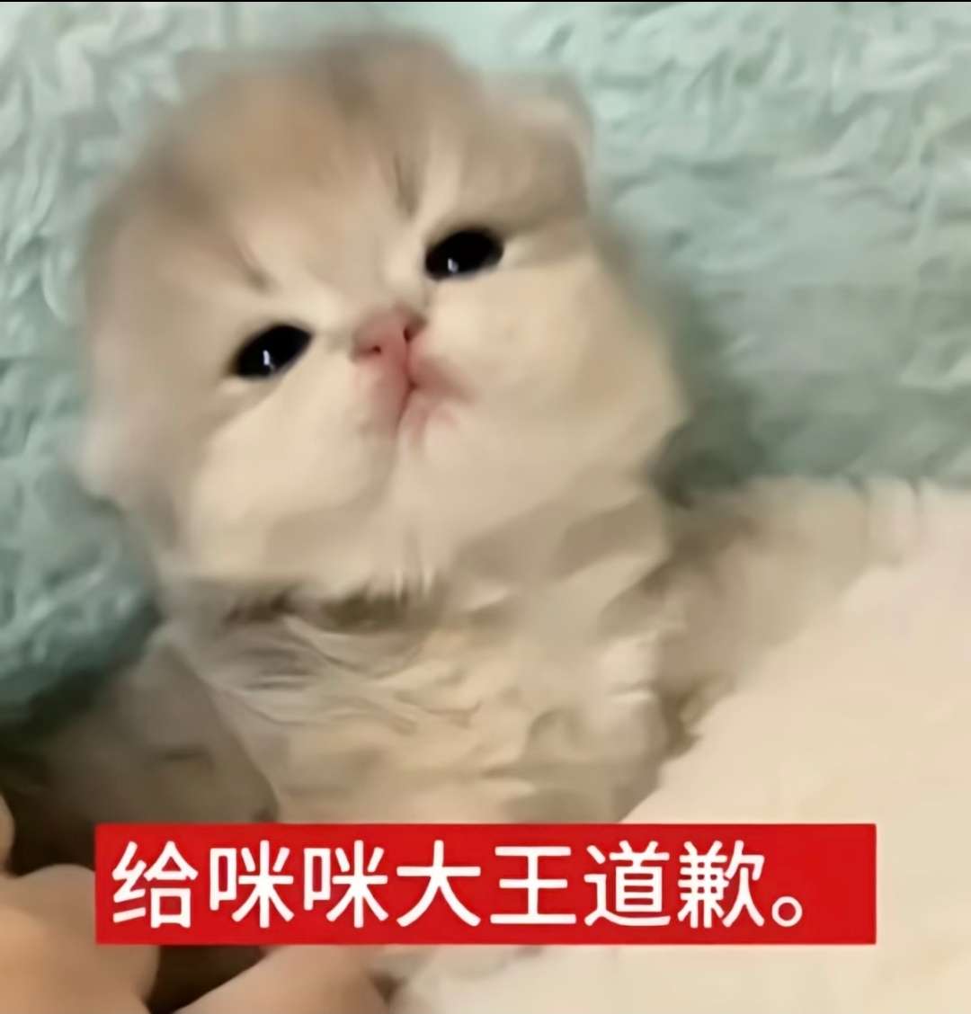 52jb044ku2olngvqshhuq6b77a.jpg