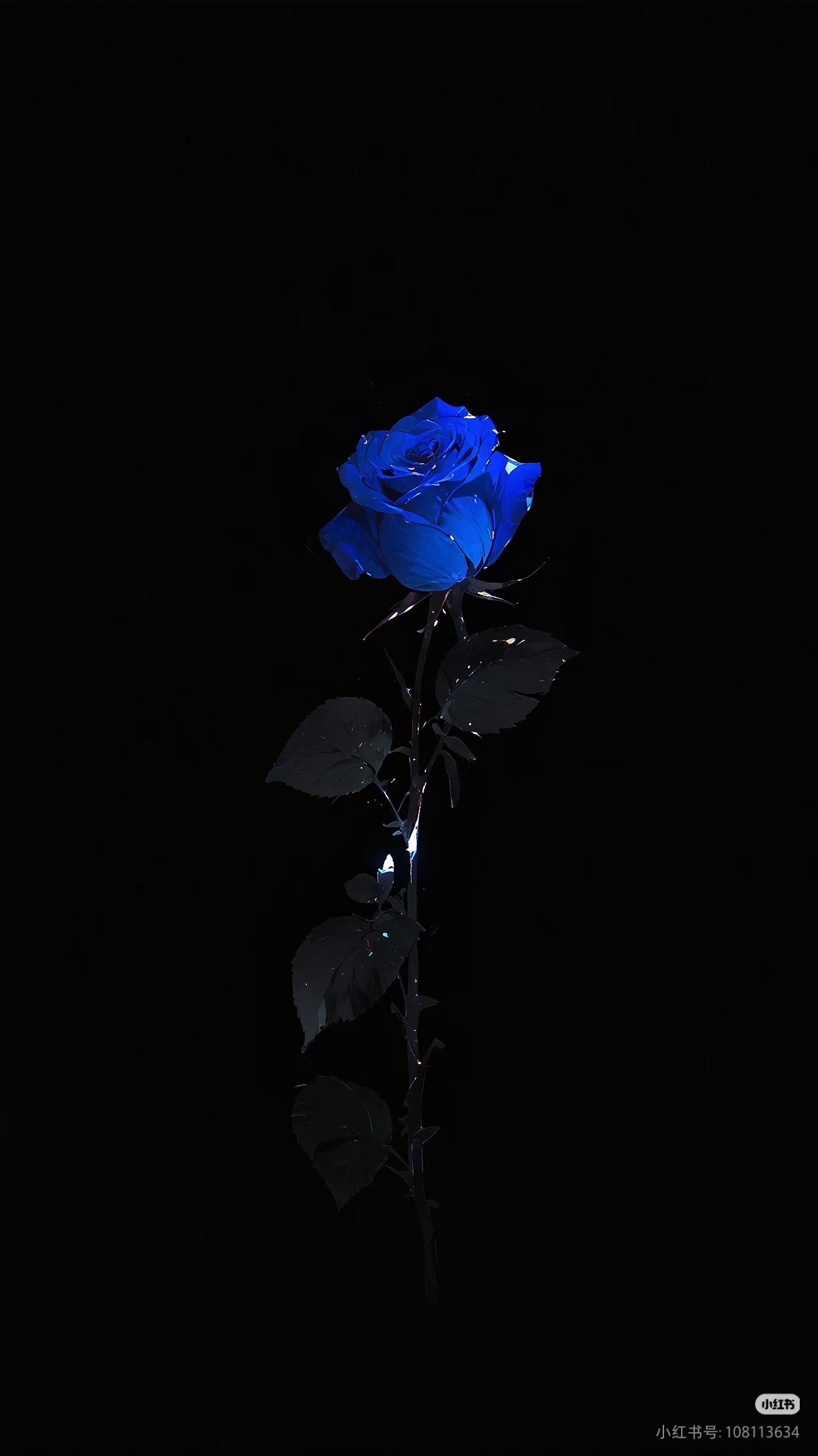 Camera_1040g3k031q7qfevkno2g48jjnrr56mgk3h2n30g.jpg
