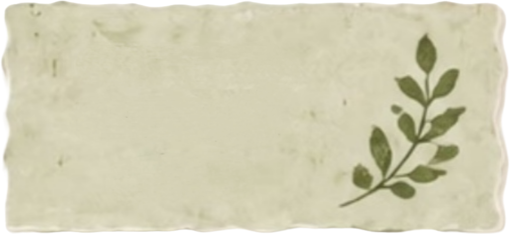 retouch_2026082917443964.png