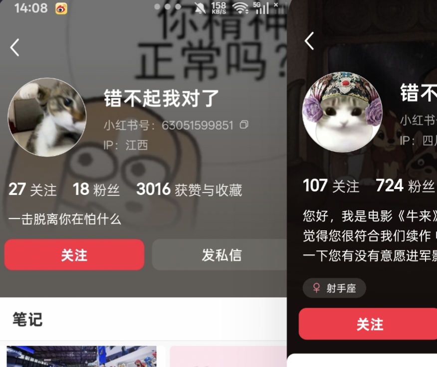 1000010955.jpg