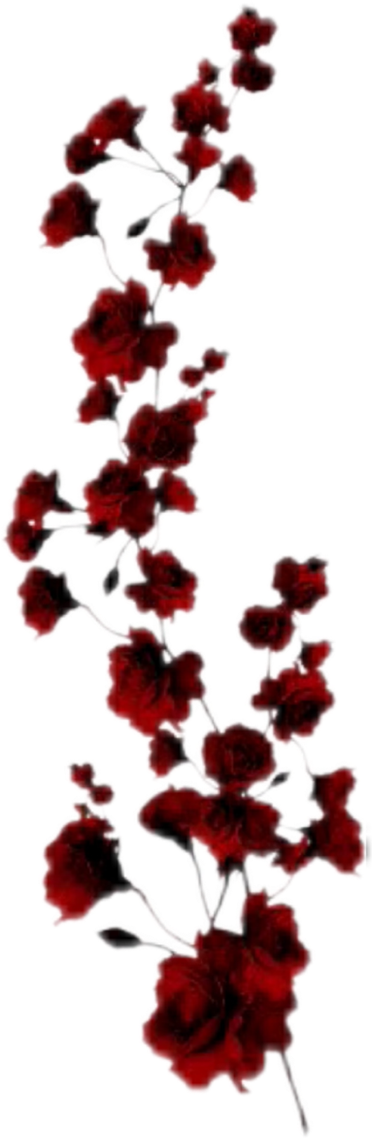 IMG_8675.png