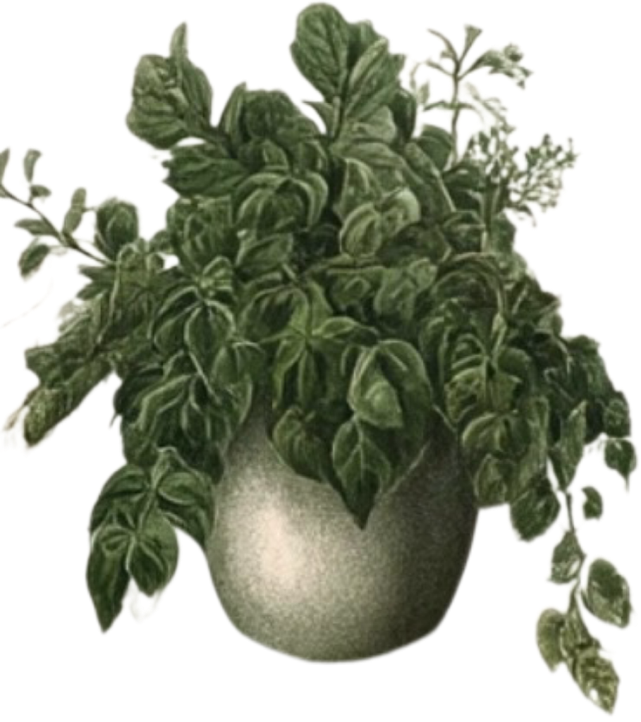 IMG_1128.png