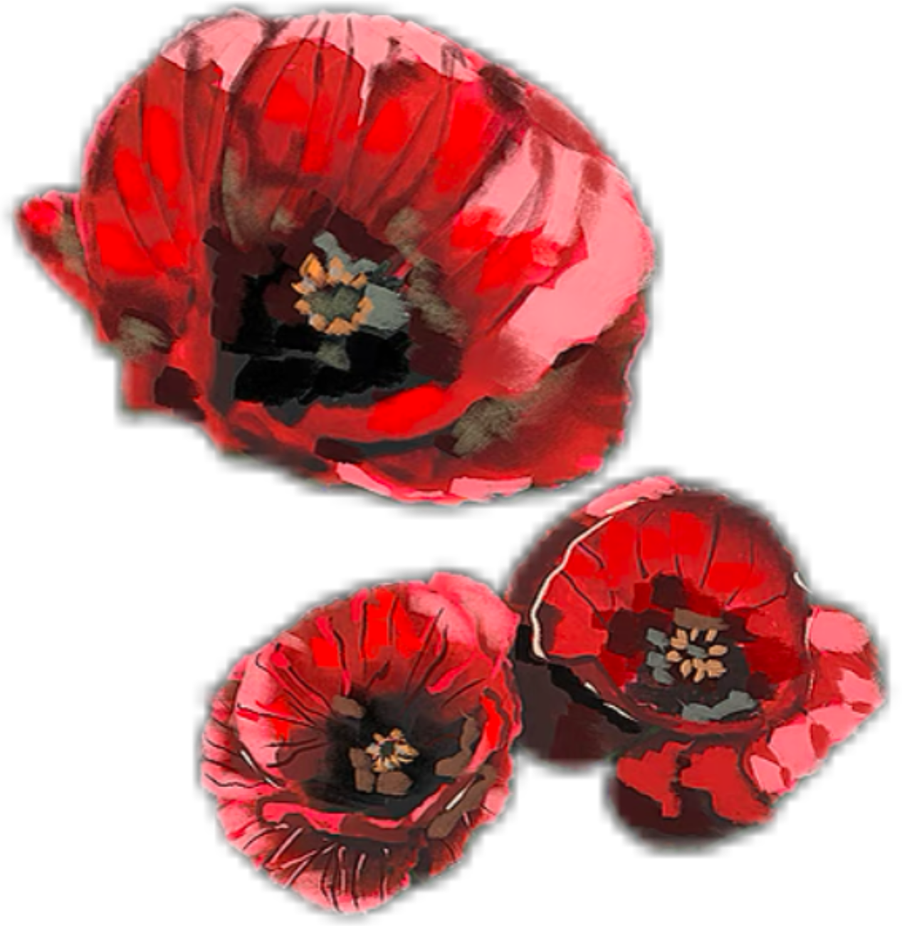 IMG_8665.png