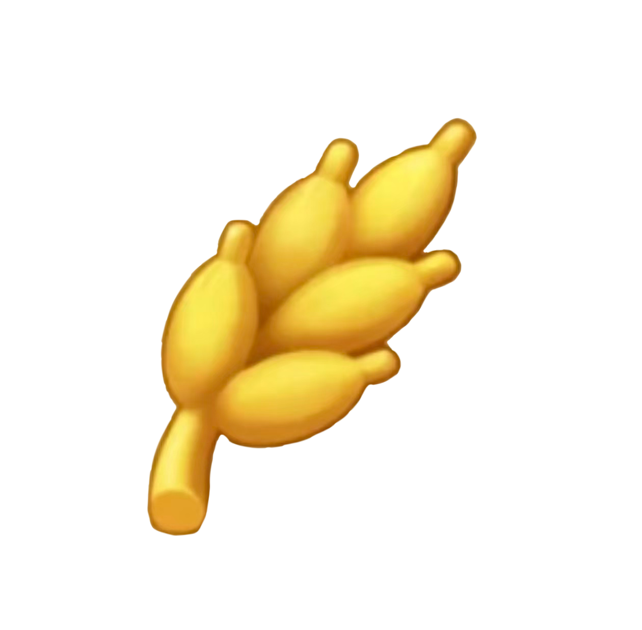 1000043621.jpg