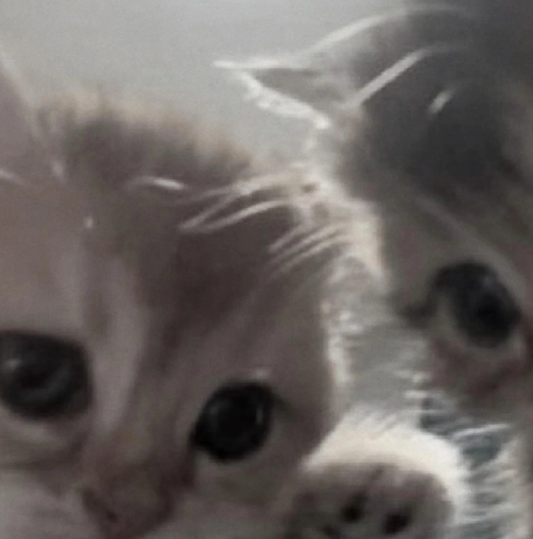 Screenshot_2026_0815_181534.png