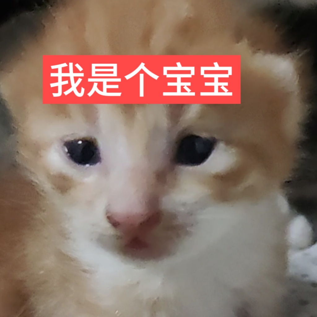 retouch_2026082922100096.jpg