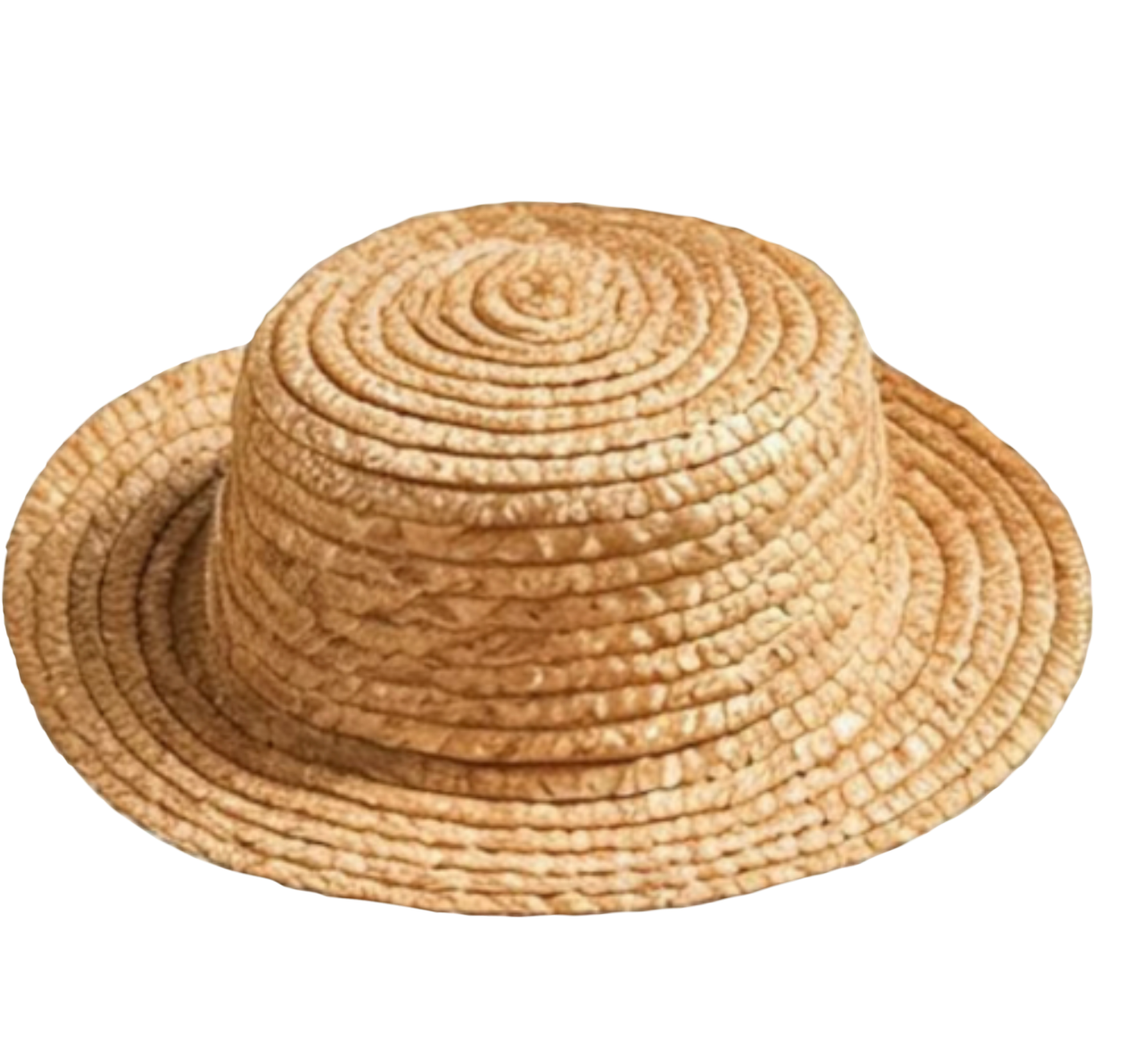 1000043677.jpg