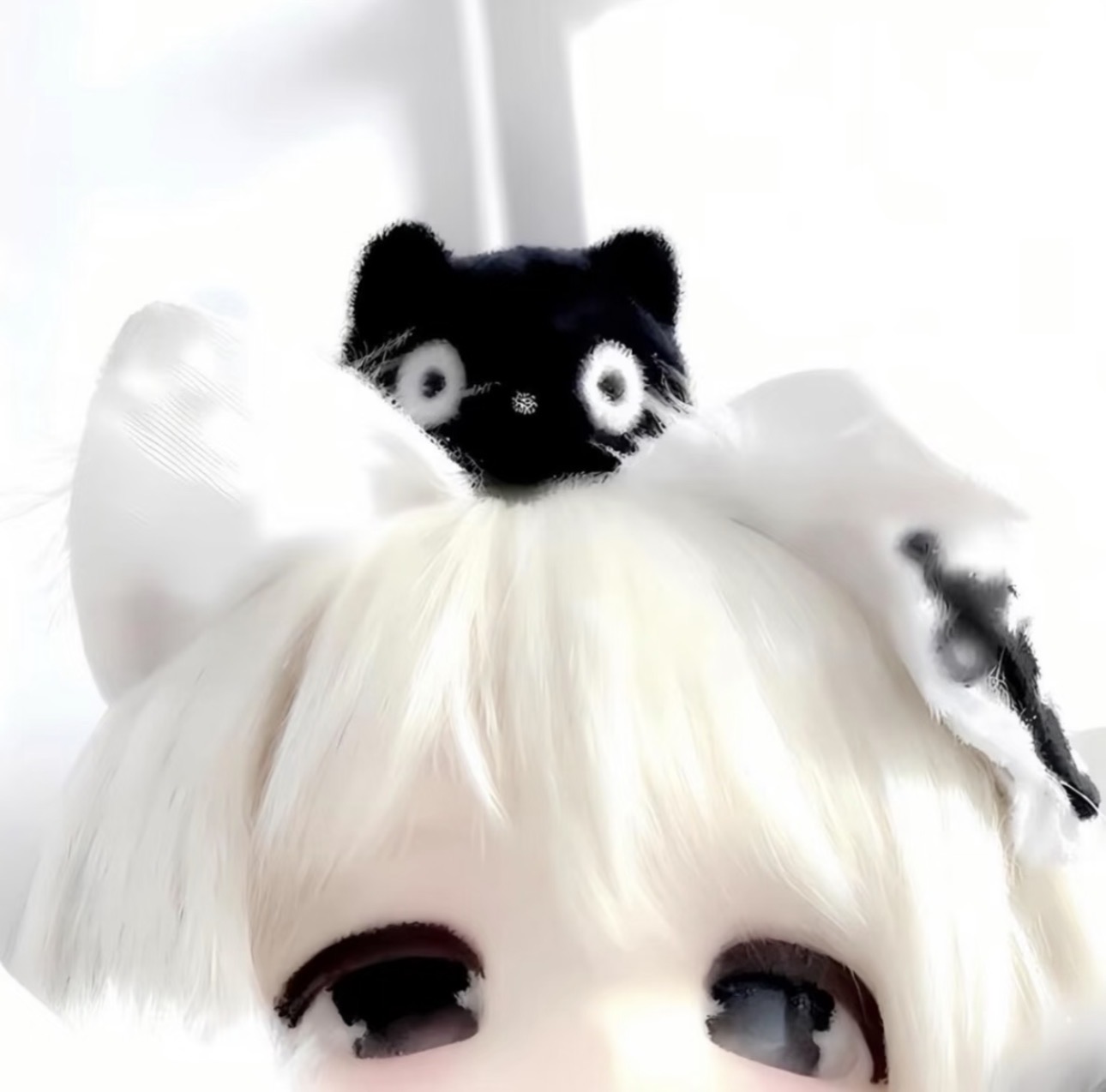IMG_6871.jpeg