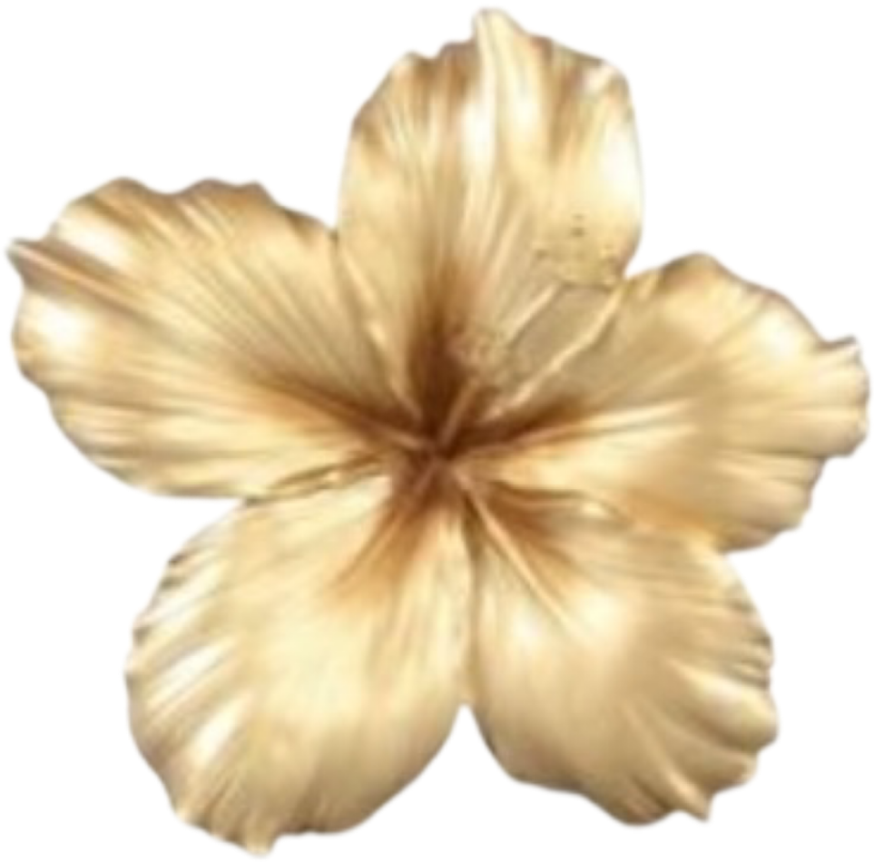 IMG_1172.png
