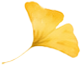02.png