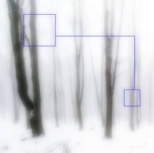 Camera_1040g3k831tsr5fi8mu7g5n2lr47k30k92i5lumg.jpg