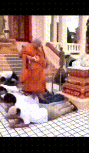 20260830-103844.gif