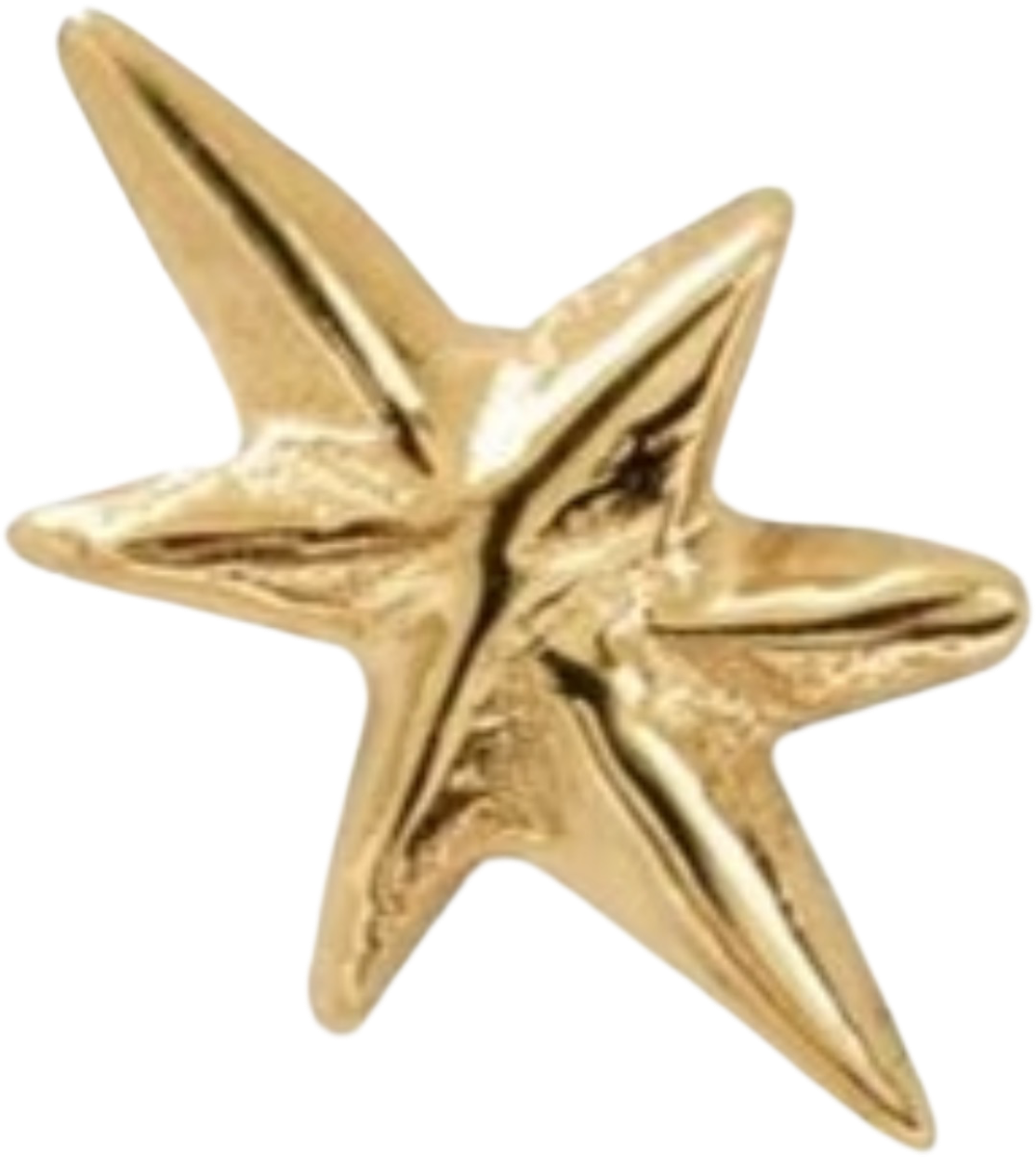 IMG_1173.png