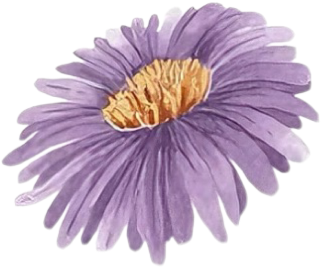 IMG_1208.png