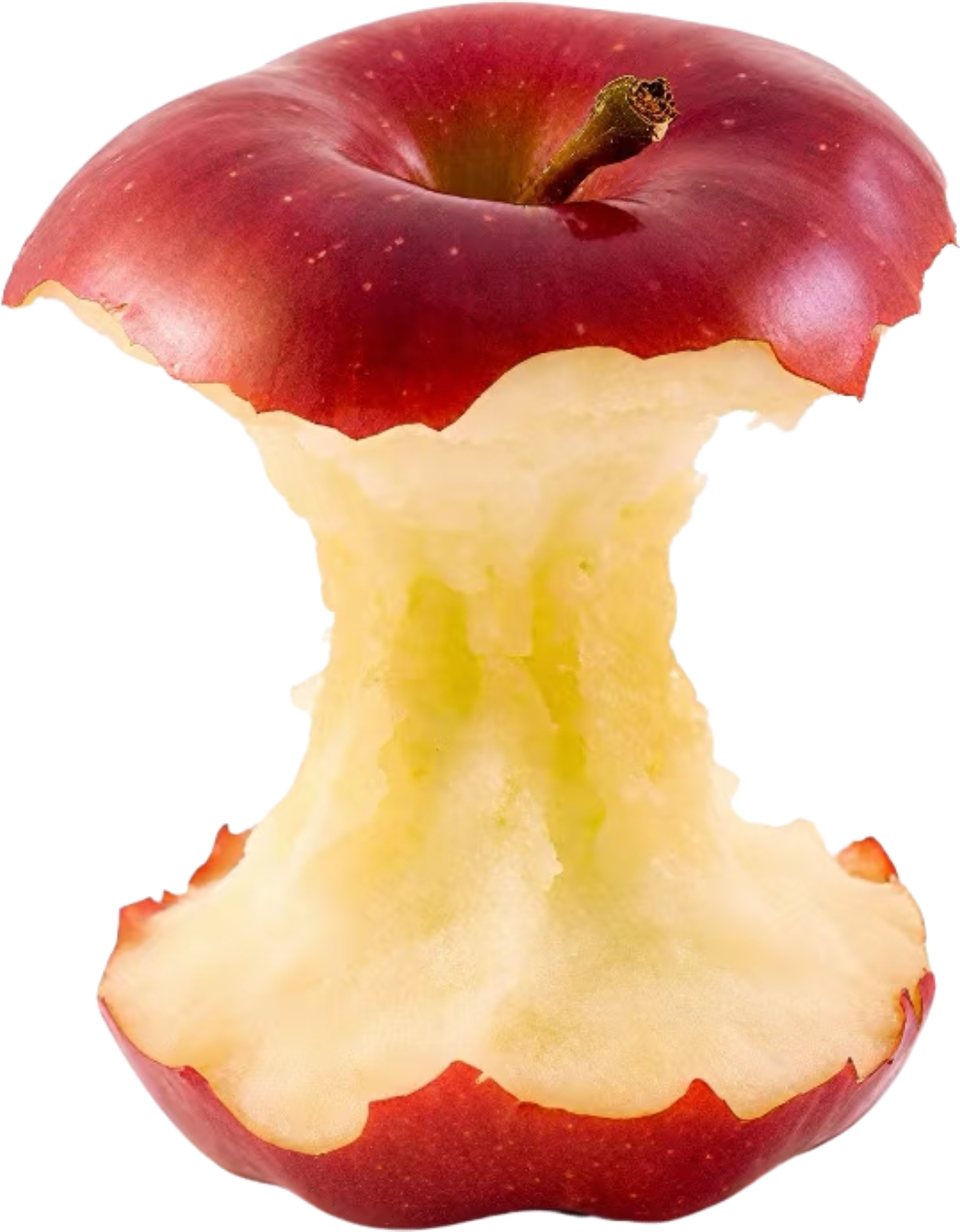 retouch_2026010812441600.png