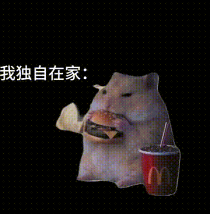 20260830-164009.gif