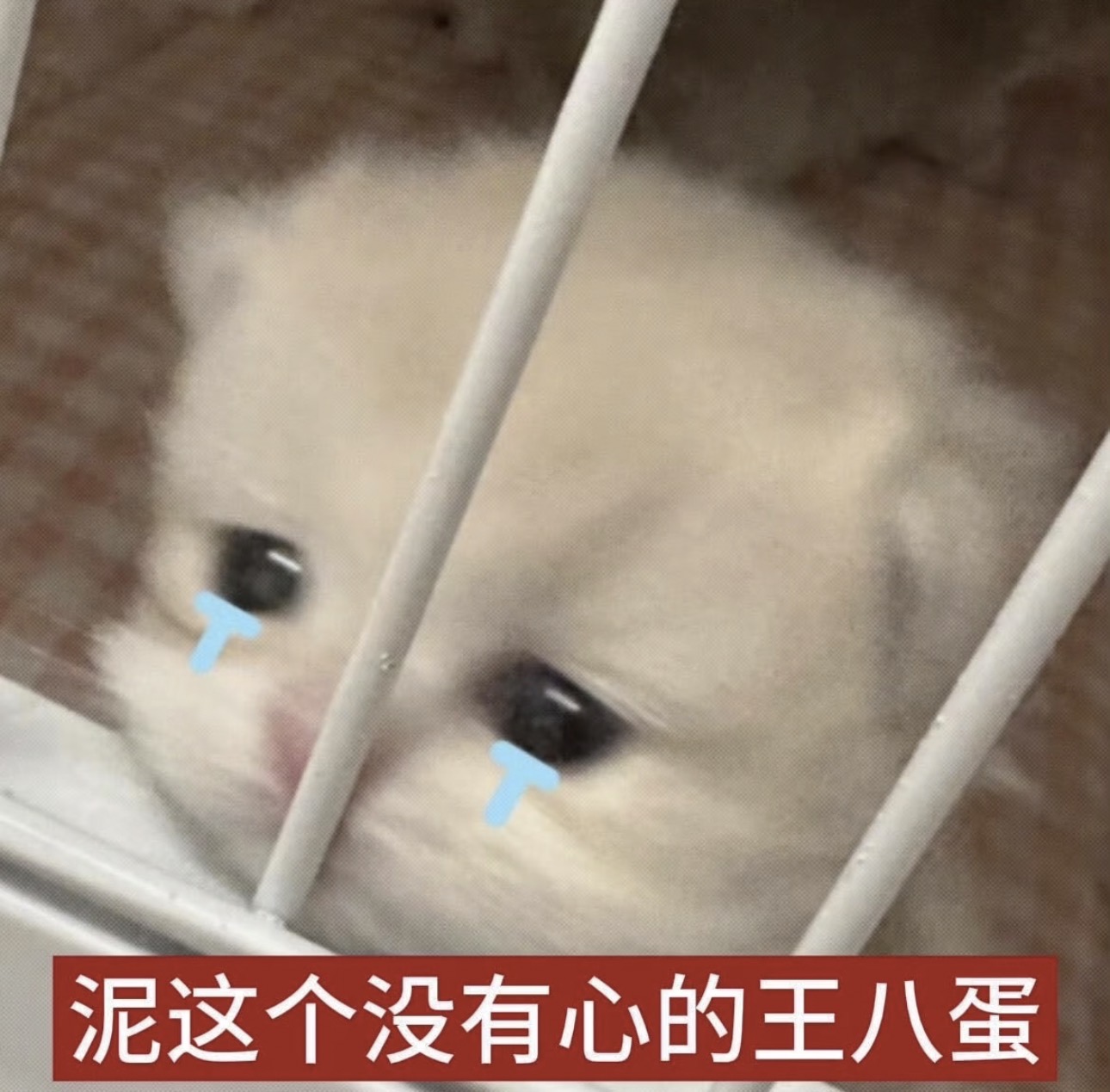 IMG_4736.jpeg