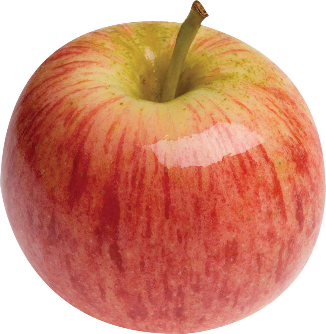 retouch_2026010812440429.png