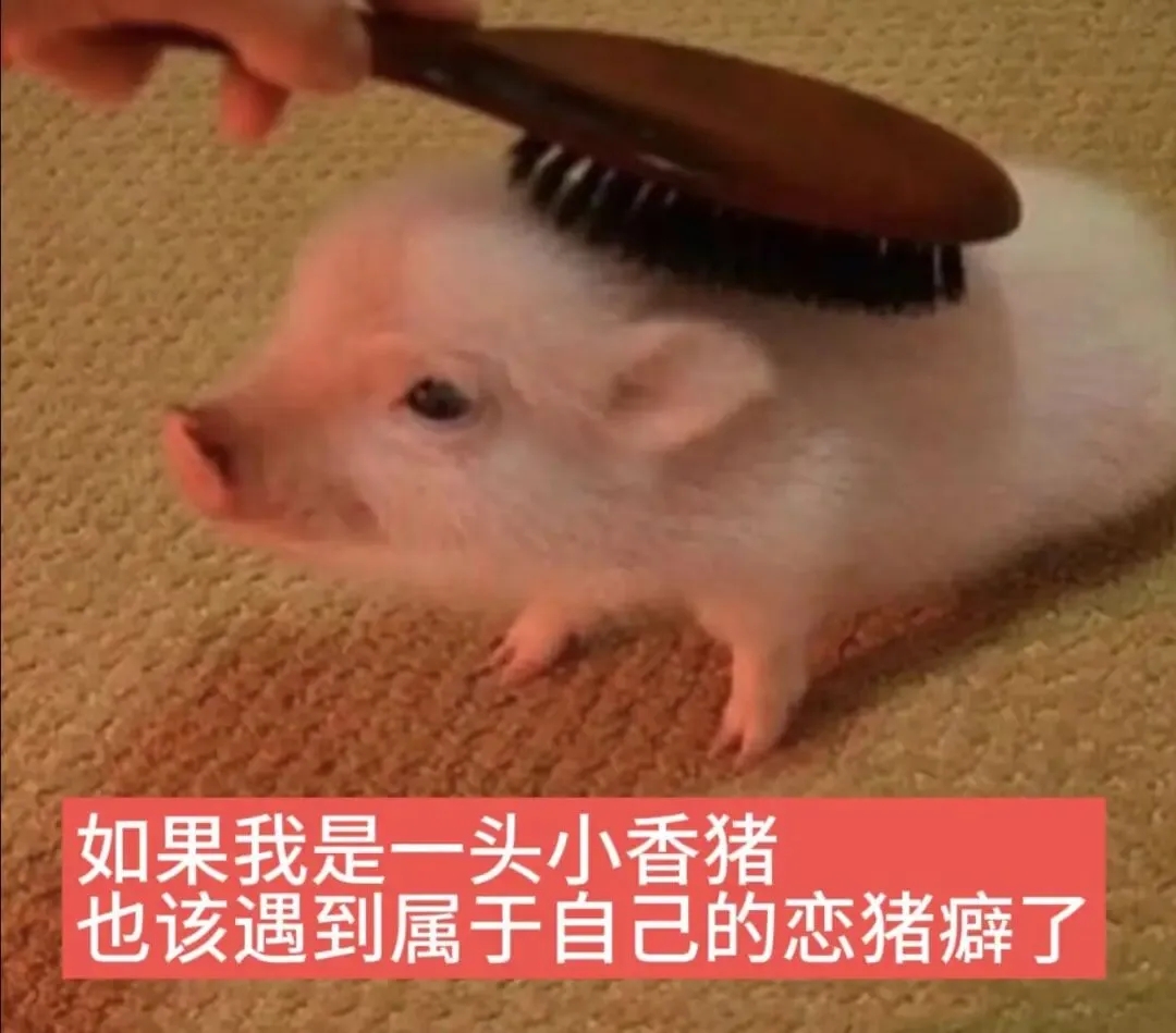 1000082151.jpg