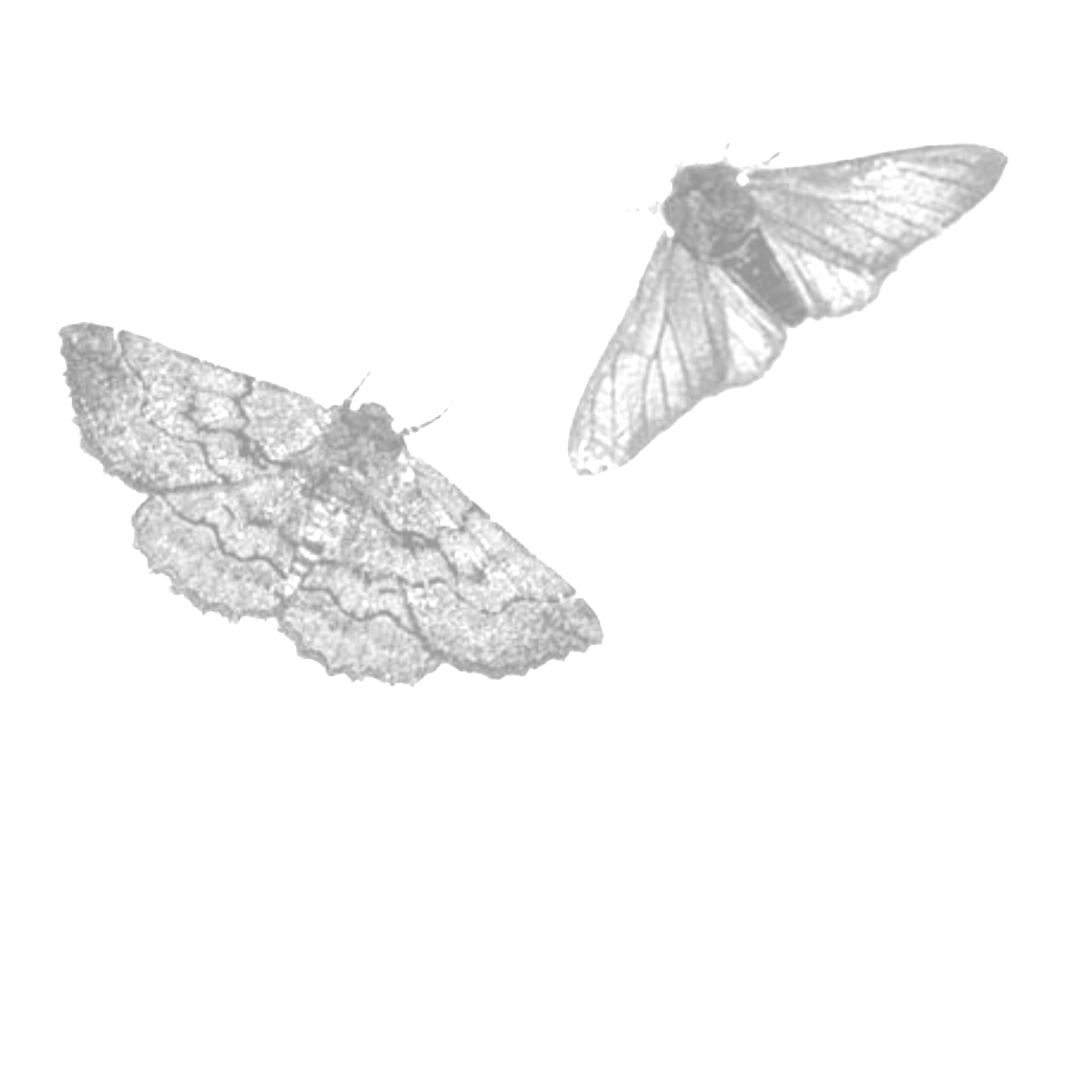 无标题35_20260830165224.png