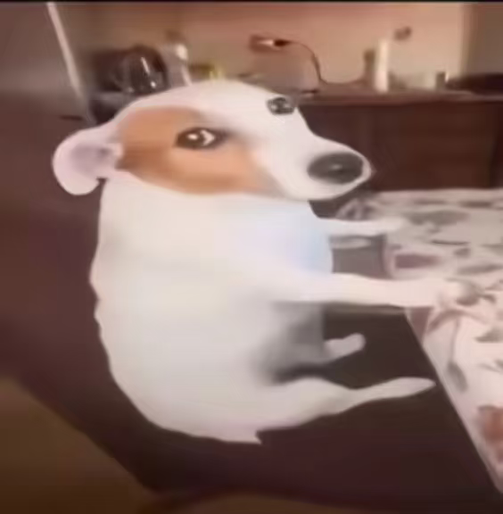 1000089934.png