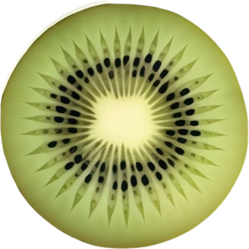 IMG_1297.png